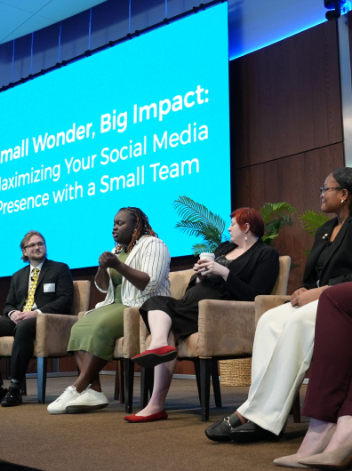 A panel of four individuals are seated in front of a large screen displaying the title "Small Wonder, Big Impact.